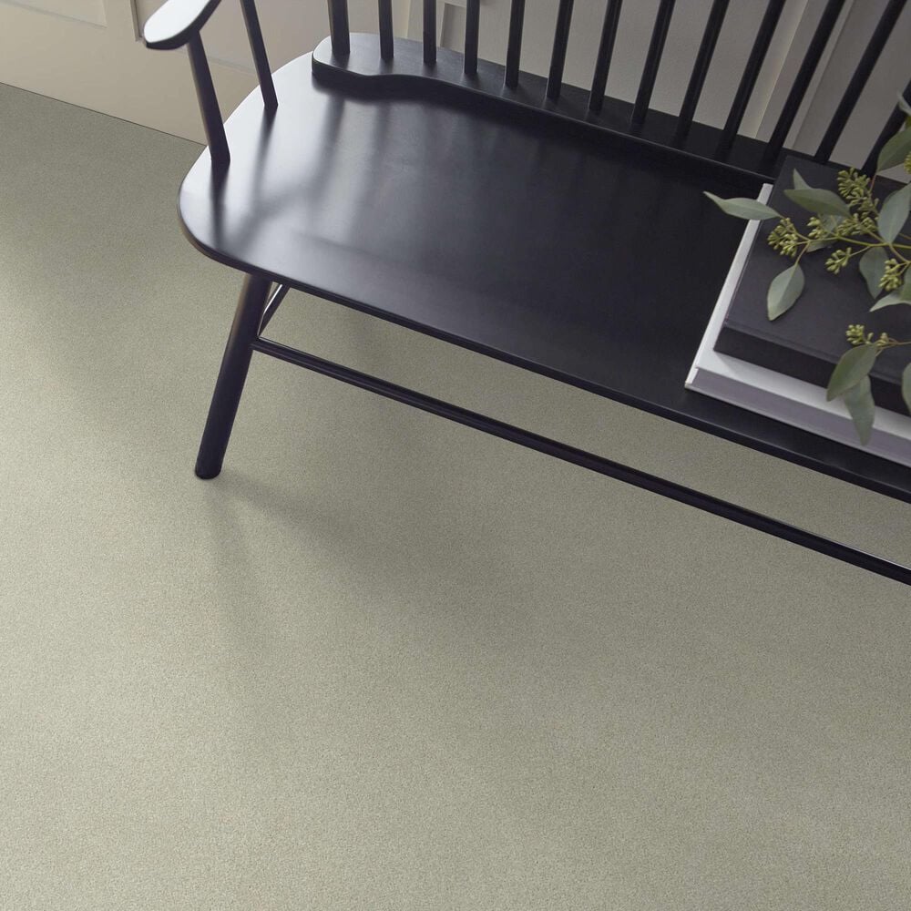 Shaw Your Comfort I Carpet in Willow Tree, , large