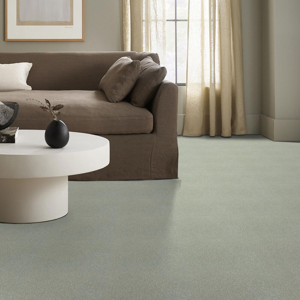 Shaw Tonal Comfort I Carpet in Willow Tree, , large