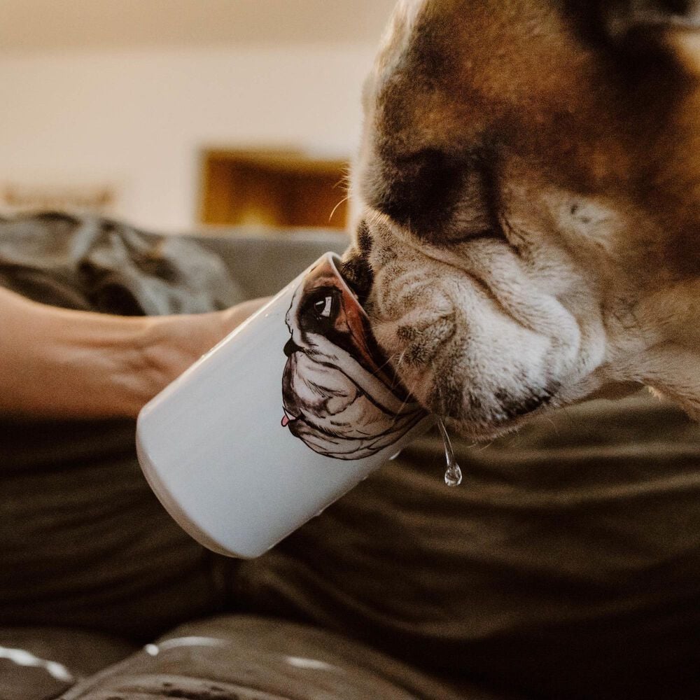 American Brand Studio 15 Oz Bulldog Snout Mug in White, , large