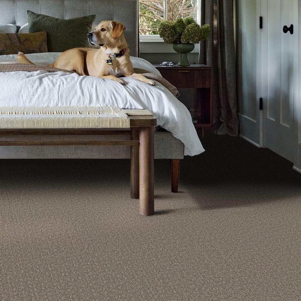 Shaw Secret Journey Carpet in Hideaway, , large