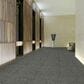 Shaw Rousing Review Carpet in Top Notch, , large