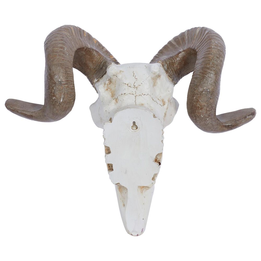 Maple and Jade 12&quot; x 14&quot; Farmhouse Sheep Skull Wall Decor in White and Bronze, , large
