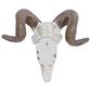Maple and Jade 12" x 14" Farmhouse Sheep Skull Wall Decor in White and Bronze, , large