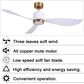 HOMLUX 52" Indoor Ceiling Fan with LED Light in Antique Brass and White, , large