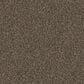 Dixie Home Trapper Carpet in Pinscher, , large