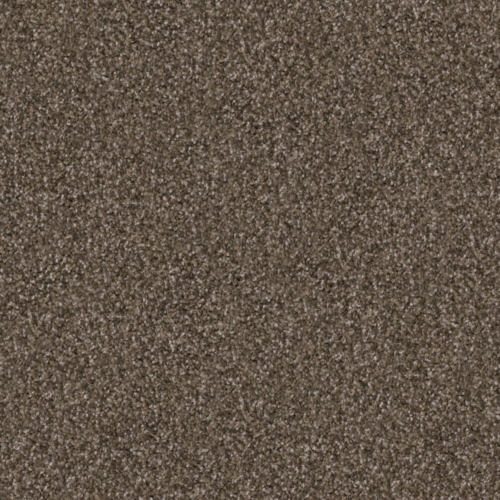 Dixie Home Trapper Carpet in Pinscher, , large