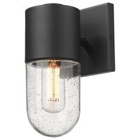 Golden Lighting Ezra 1-Light Outdoor Wall Sconce