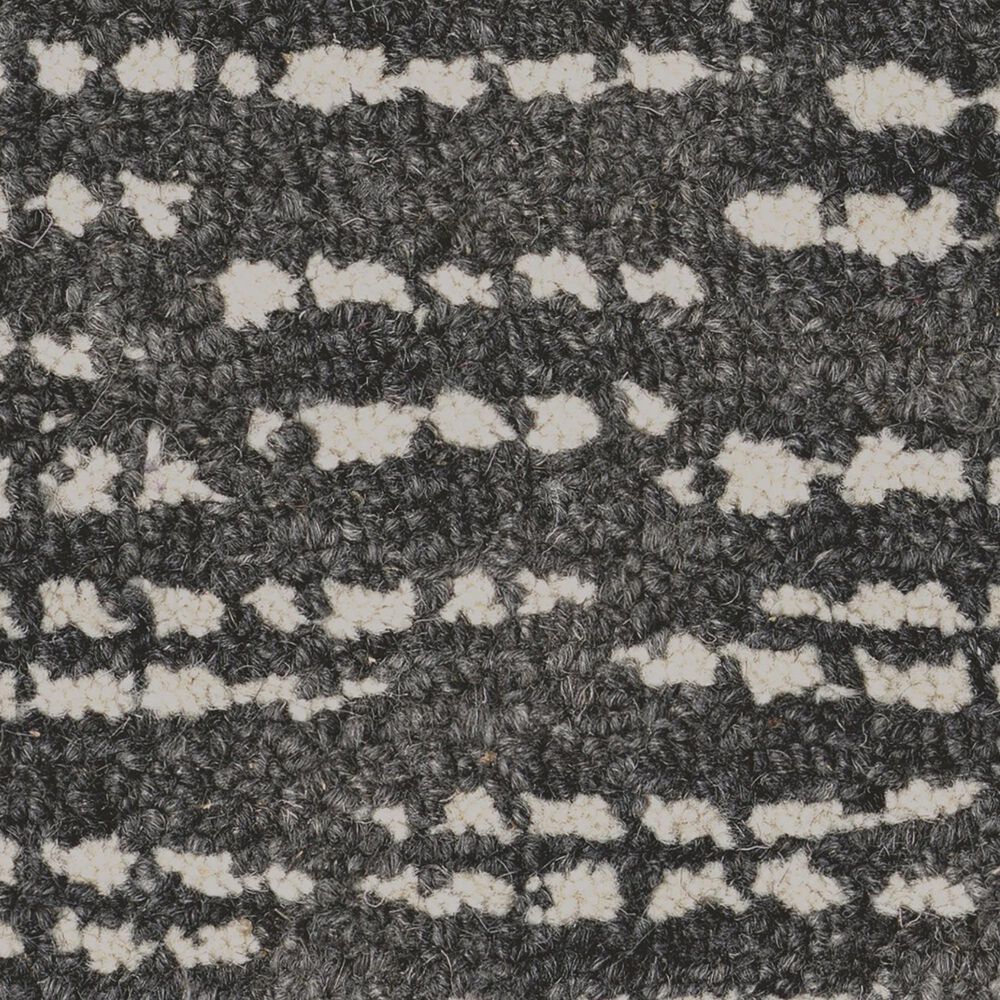 Anderson Tuftex Curator Carpet in Butler, , large