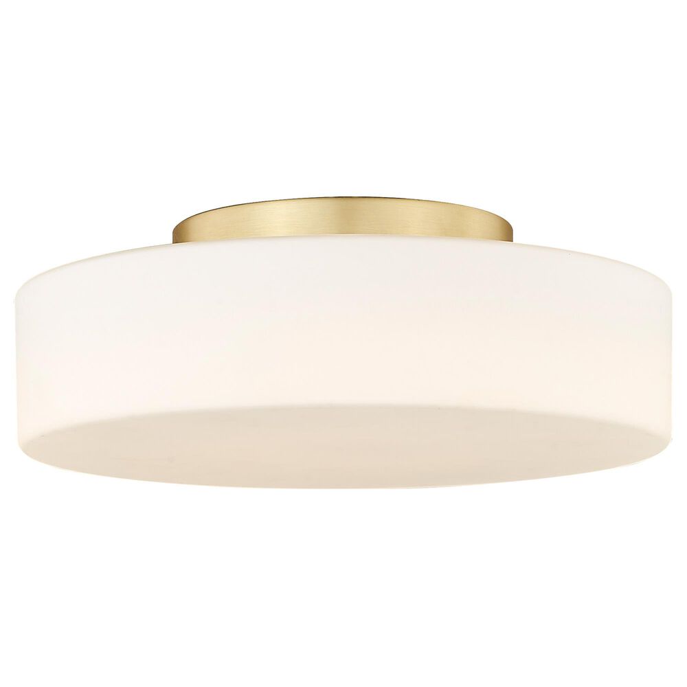 Golden Lighting Toli 1-Light Flush Mount in Brushed Champagne Bronze, , large