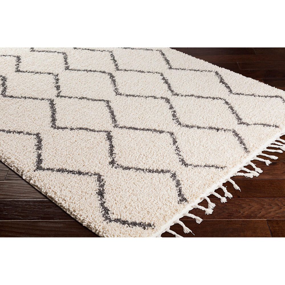 Surya Berber Shag BBE2303 6&#39;7&quot; x 9&#39; Charcoal and Beige Area Rug, , large