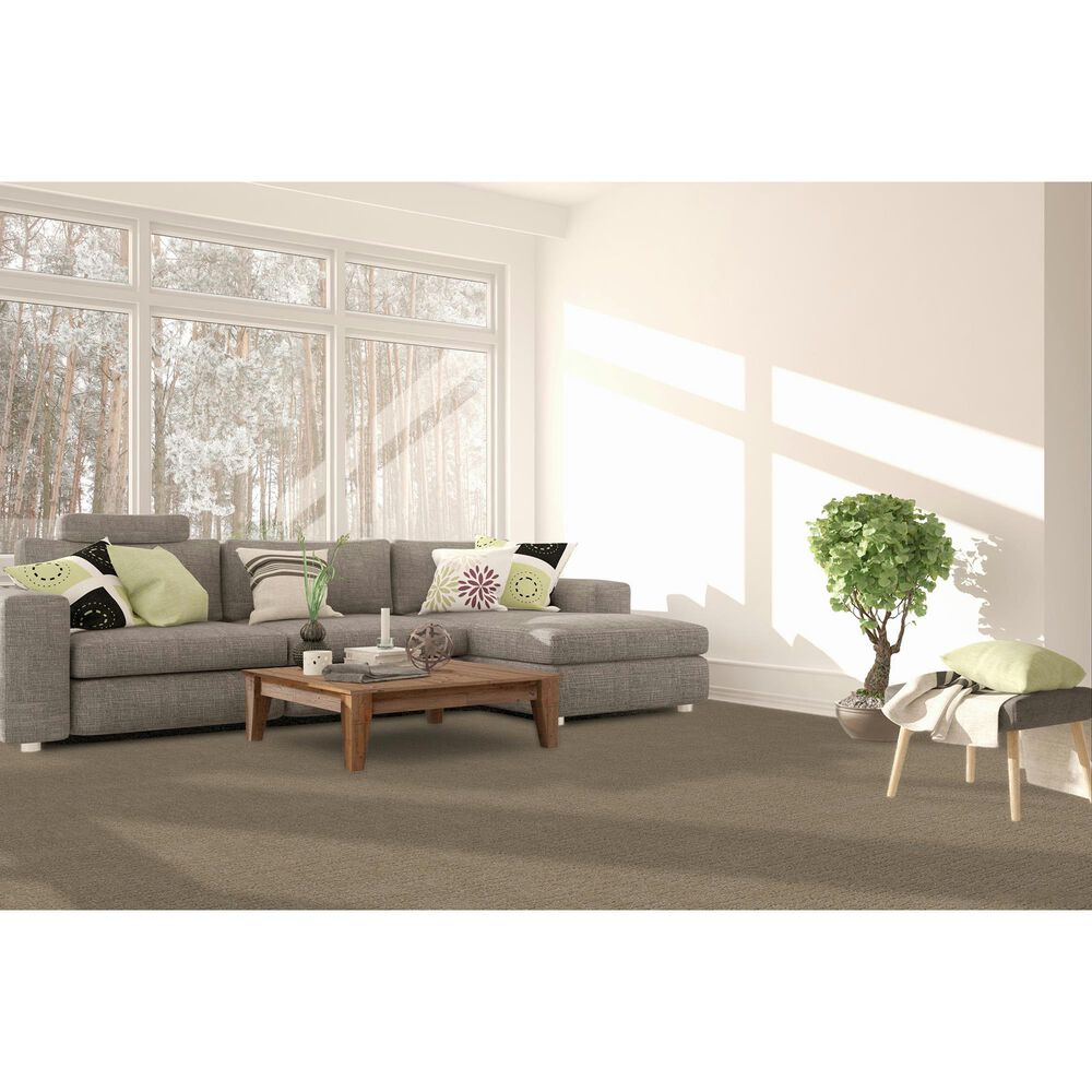 Dream Weaver Natural Attraction Carpet in Papaya, , large