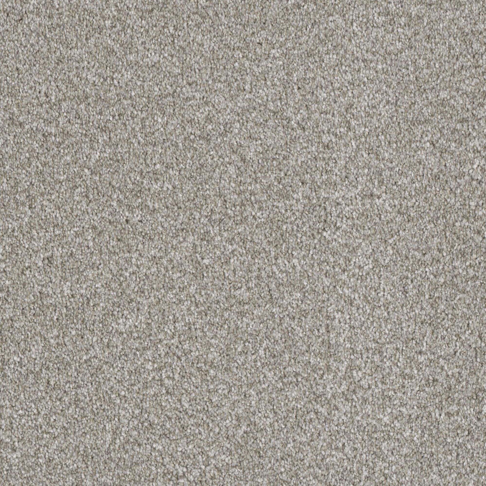 Dream Weaver Luxor II Carpet in Winterbrooke
