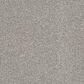 Dream Weaver Luxor II Carpet in Winterbrooke, , large