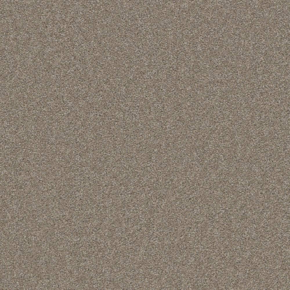 Phenix Magical Carpet in Pleasing, , large
