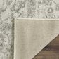 Safavieh Adirondack ADR109C-3 3" x 5" Ivory/Silver Area Rug, , large