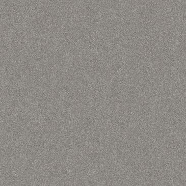 Shaw Go After It I Carpet in Etched, , large