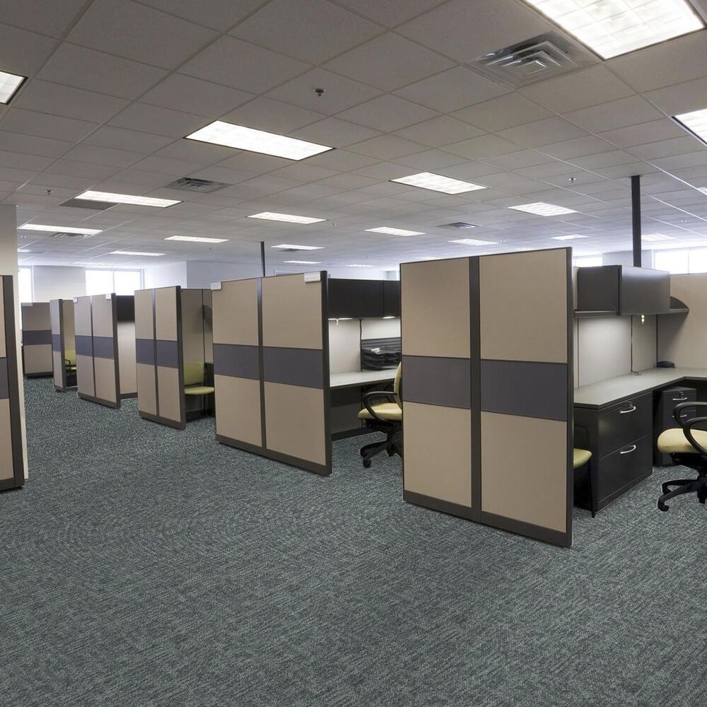 Shaw Crazy Smart 18&quot; x 36&quot; Carpet Tile in Swanky, , large