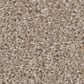 Shaw Affirmation II Carpet in Basketry, , large