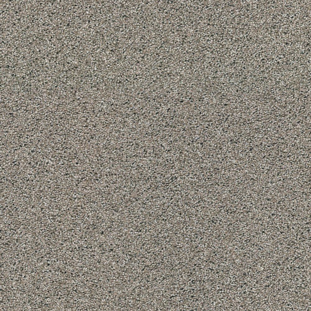 Shaw Acadia Park Carpet in Gray Elusive, , large