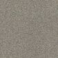 Shaw Acadia Park Carpet in Gray Elusive, , large