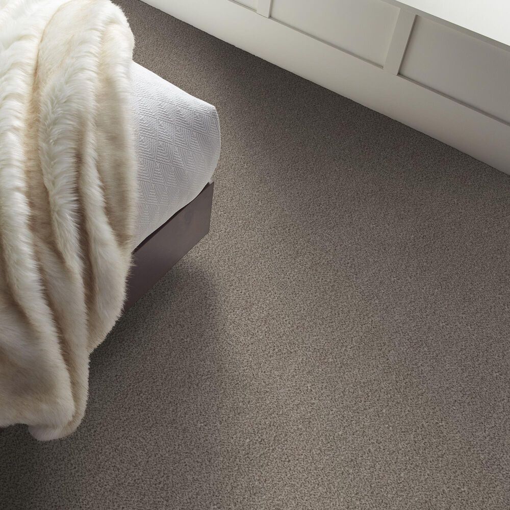 Shaw Truspirit Ii Carpet in Iron Works, , large