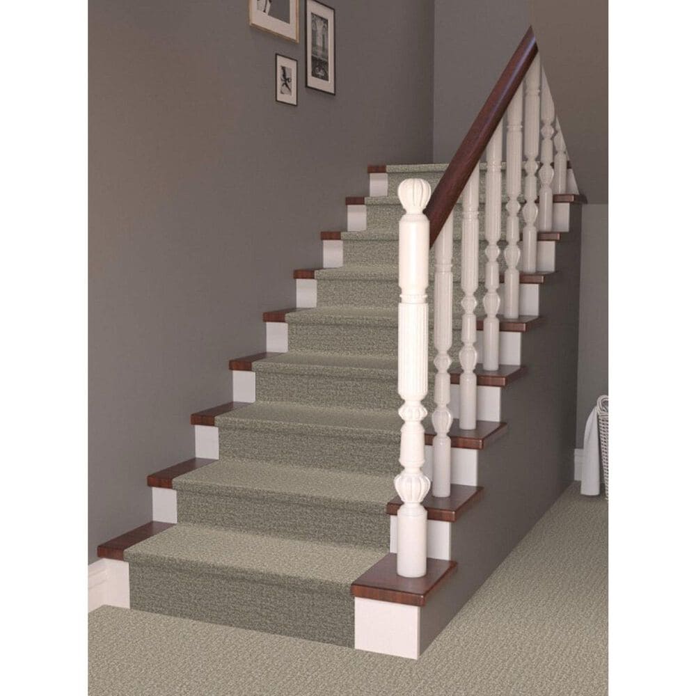 Masland Offspring Carpet in Rebarkable, , large