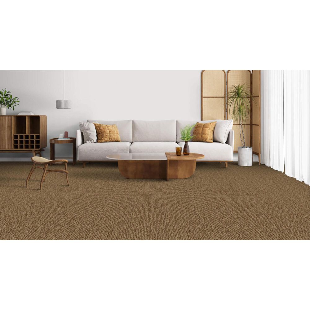 Masland Mesa Verde Carpet in Valley Forge, , large