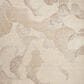 Nourison Avra 3"9" x 5"9" Taupe Area Rug, , large