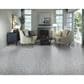 Stanton Fusion Pop Rock Carpet in Metal, , large