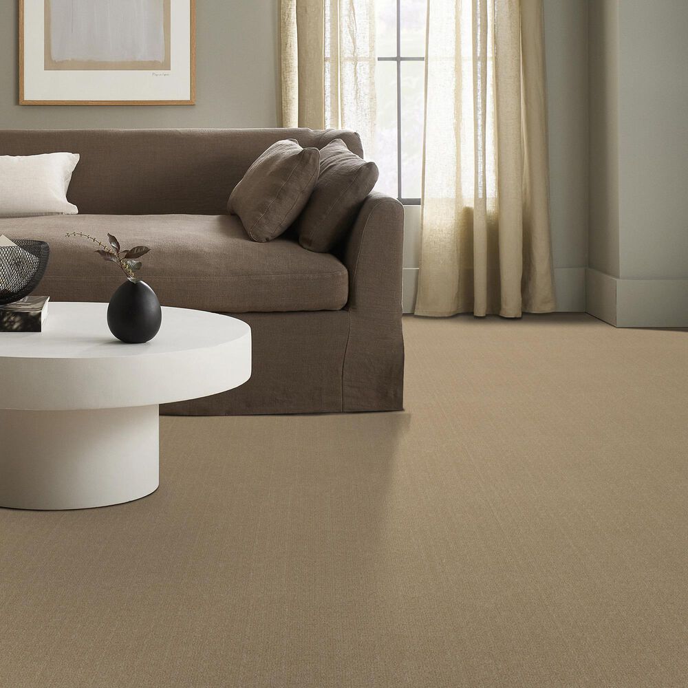 Anderson Tuftex Vignette Carpet in Riviera Beach, , large