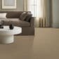 Anderson Tuftex Vignette Carpet in Riviera Beach, , large