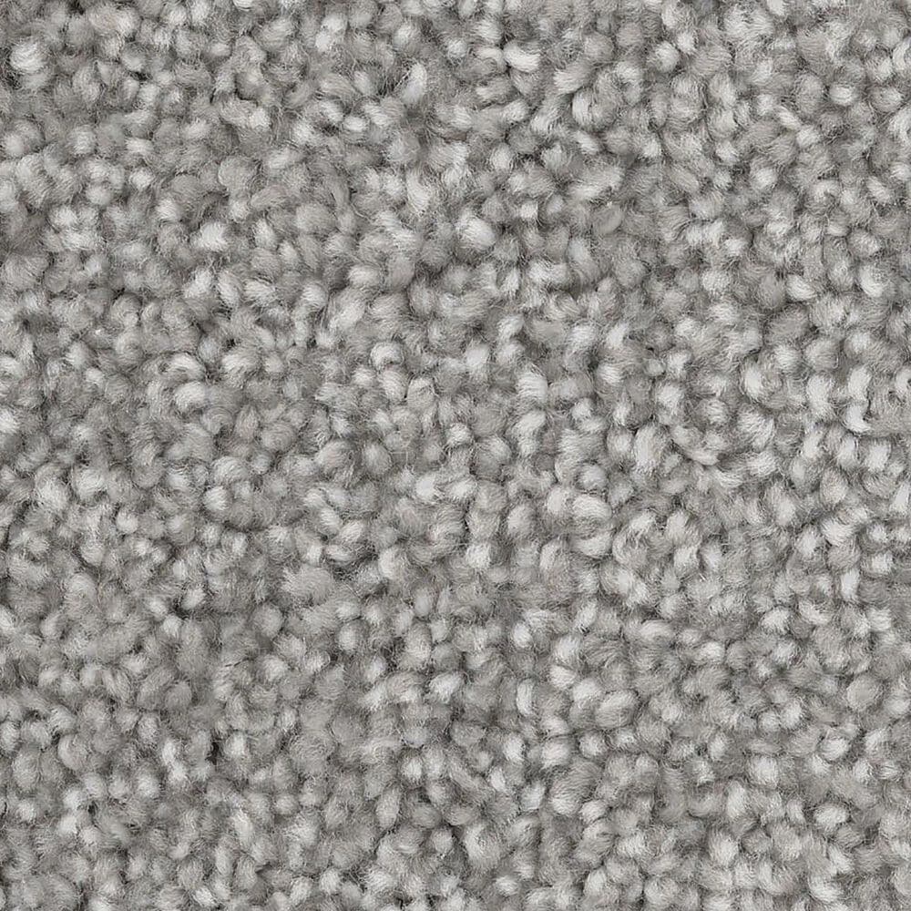 Dixie Home Dx835 Carpet in Gull, , large