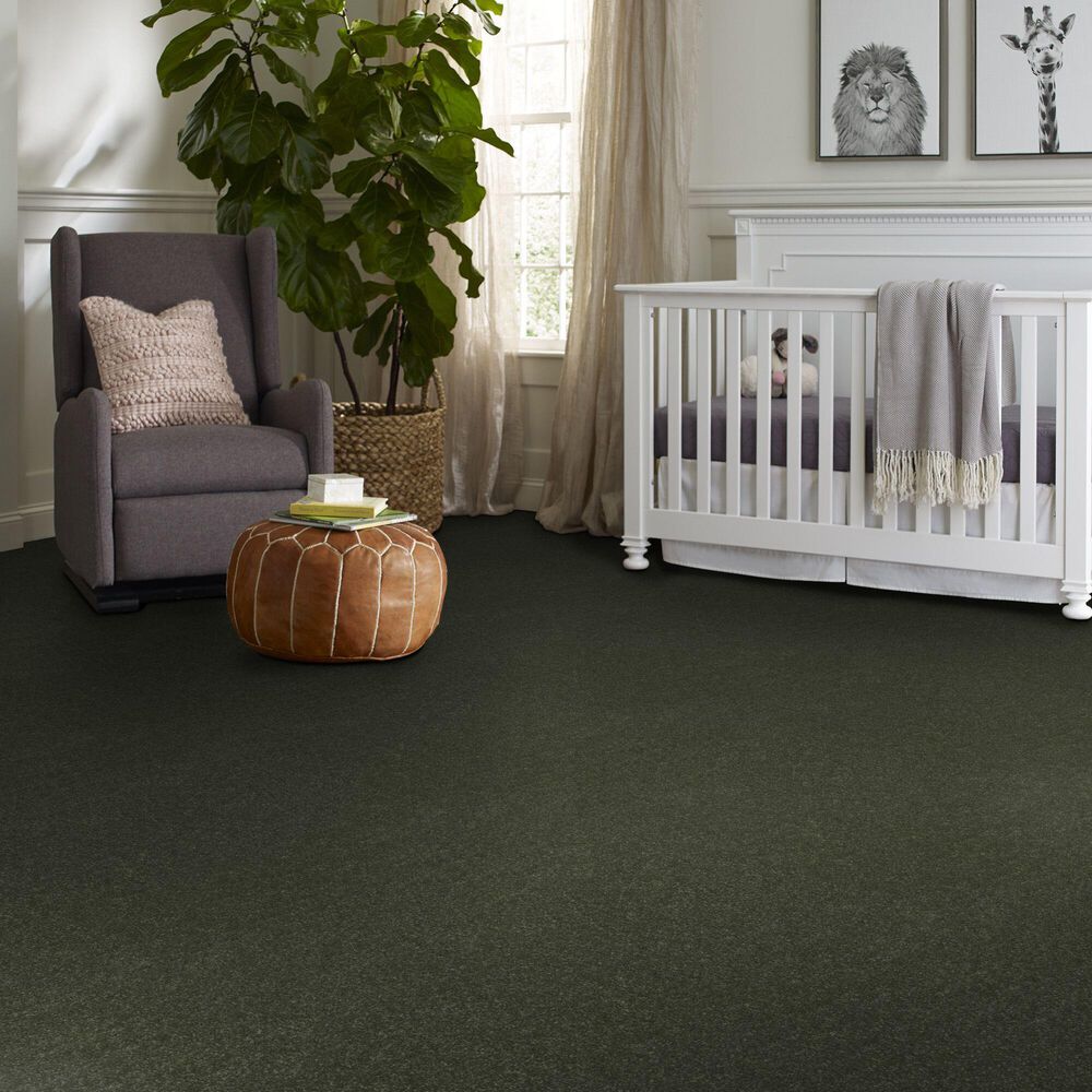 Shaw Hard At Play I Carpet in Rerooted Nature, , large