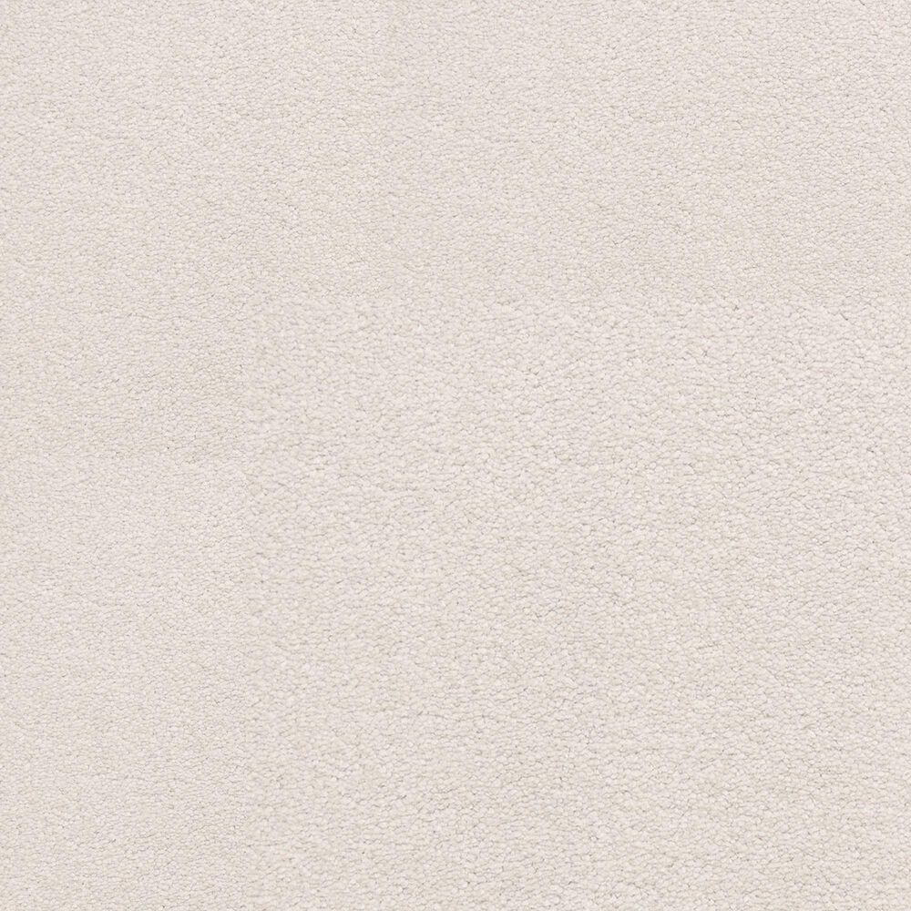 Dixie Home Neverland Carpet in Allure, , large