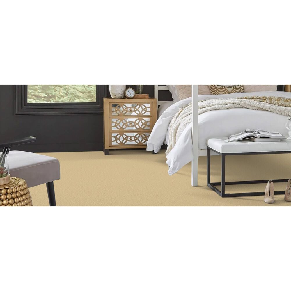 Masland Miami Carpet in Honey Harbor, , large