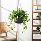 Safavieh Rancer Patio Planter in Black, , large