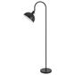 Cal Lighting LumaDome Floor Lamp in Matte Black, , large