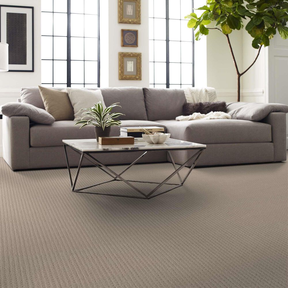Shaw Framed View Carpet in Natural Wood, , large