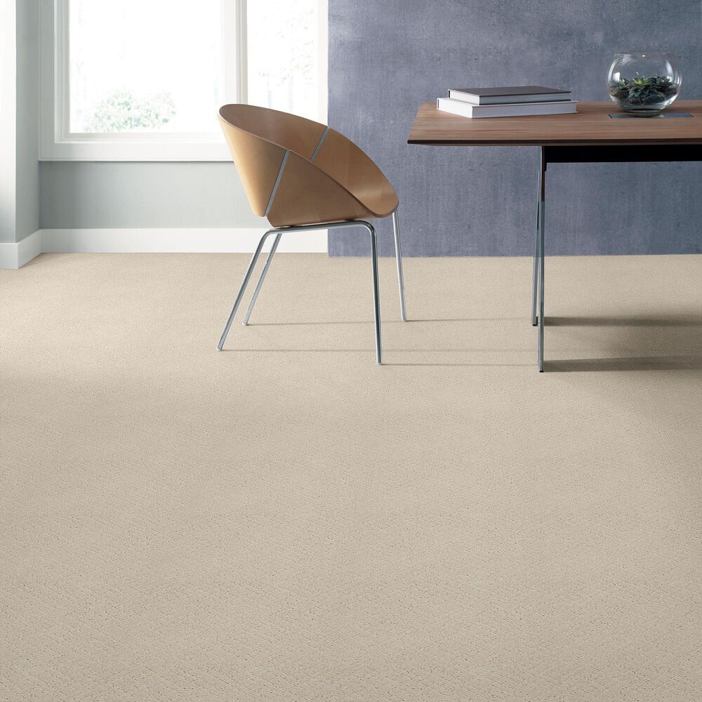 Anderson Tuftex Recital Carpet in Salt Box, , large