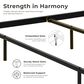 Furniture of America Rosadale Full X-Cross Canopy Bed in Black, , large