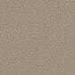 Shaw Bold Move Plus Carpet in Oatmeal, , large