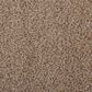 Masland Granique Carpet in Amber, , large