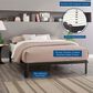 Modway Corinne Queen Platform Bed Frame in Brown, , large
