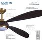 Minka-Aire Mortyn 60" Indoor/Outdoor Ceiling Fan with LED Light in Legacy Brass, , large