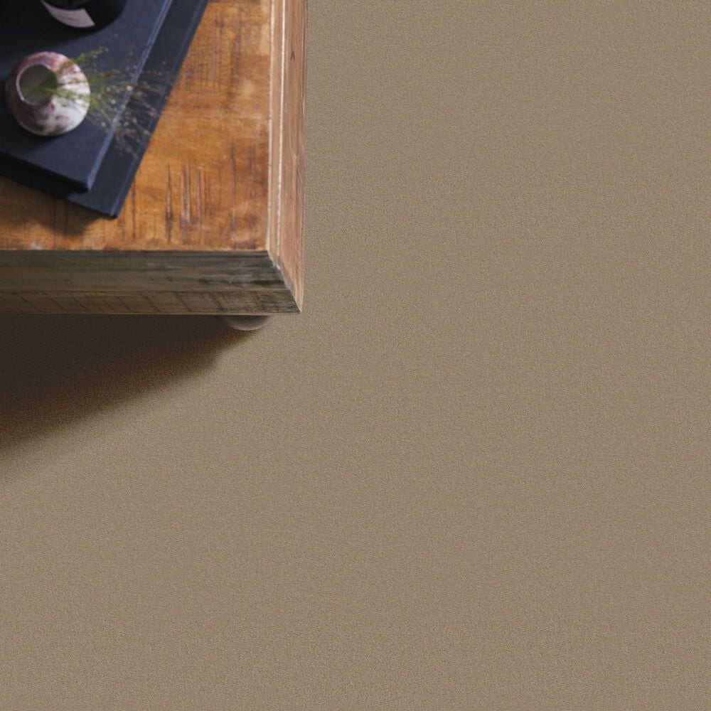 Anderson Tuftex Finery Carpet in Oak Ridge, , large