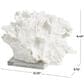 Maple and Jade Coral Decorative Sculpture in Textured White and Clear, , large