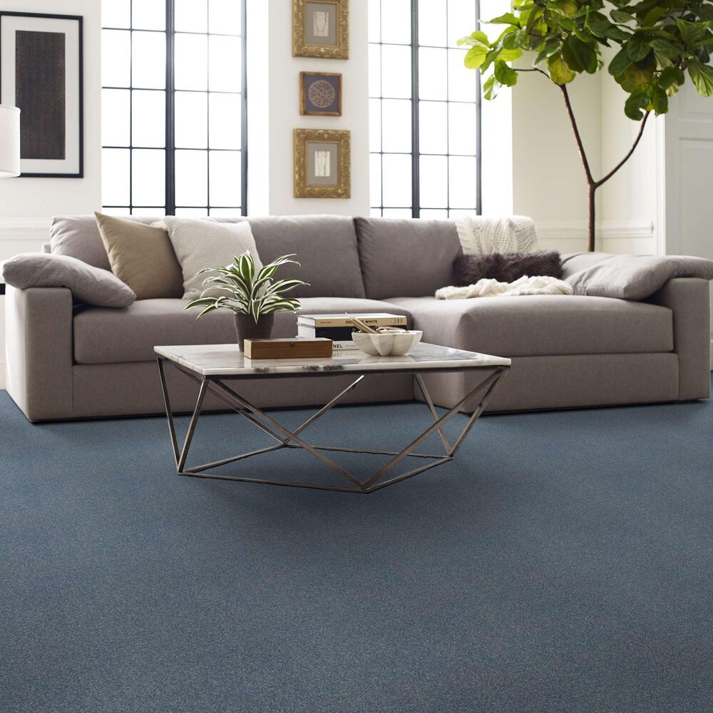 Shaw Your Comfort I Carpet in Lakeside Retreat, , large