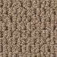 Shaw Perspective Path Carpet in Tavern Creek, , large
