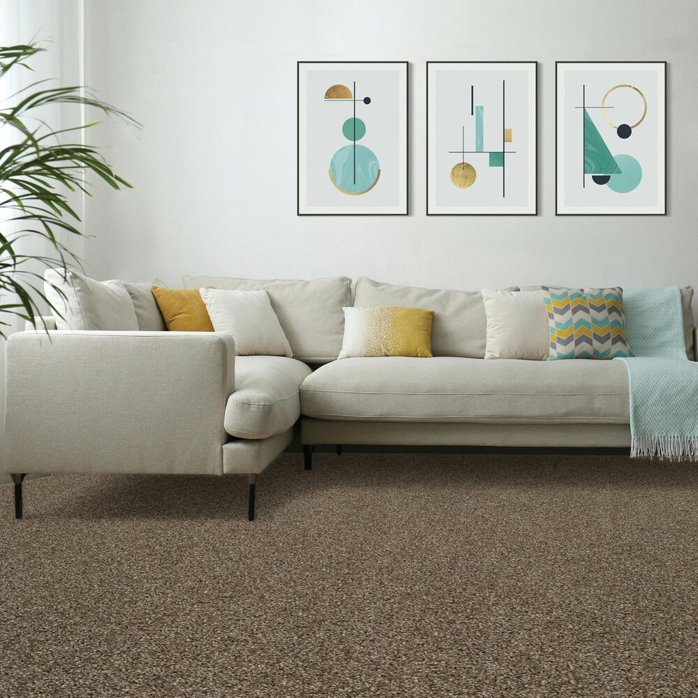 Mohawk Diffurent Choice III Carpet in Legend, , large