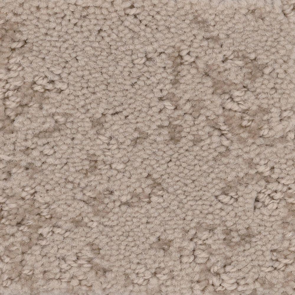 Anderson Tuftex Caress  Artistic Presence Carpet in Natural Beauty, , large